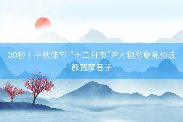 30秒｜中秋佳节 “十二月市”IP人物形象亮相成都宽窄巷子