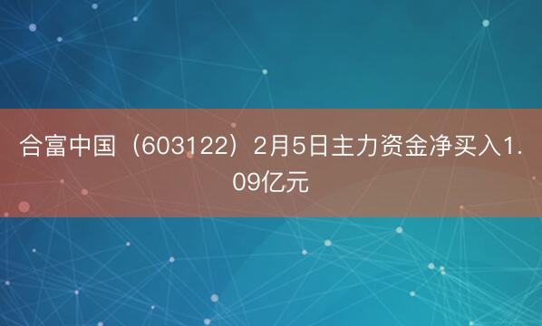 合富中国（603122）2月5日主力资金净买入1.09亿元