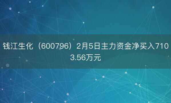钱江生化（600796）2月5日主力资金净买入7103.56万元