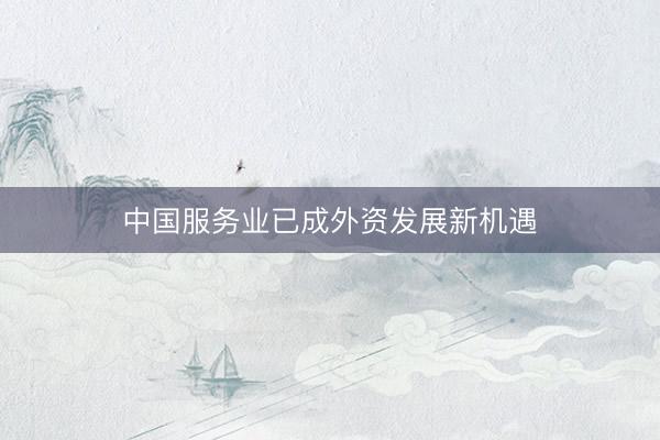 中国服务业已成外资发展新机遇