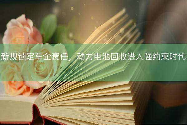 新规锁定车企责任，动力电池回收进入强约束时代  