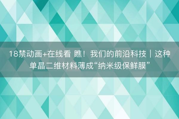 18禁动画+在线看 瞧！我们的前沿科技｜这种单晶二维材料薄成“纳米级保鲜膜”