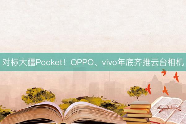 对标大疆Pocket！OPPO、vivo年底齐推云台相机