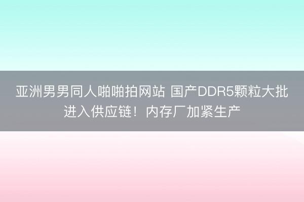 亚洲男男同人啪啪拍网站 国产DDR5颗粒大批进入供应链!内存厂加紧生产