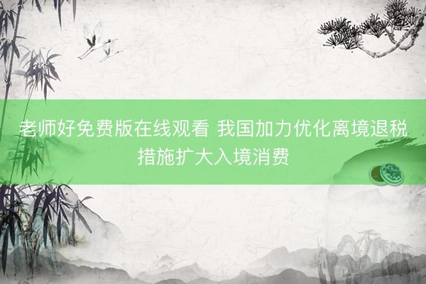 老师好免费版在线观看 我国加力优化离境退税措施扩大入境消费