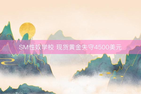 SM性奴学校 现货黄金失守4500美元