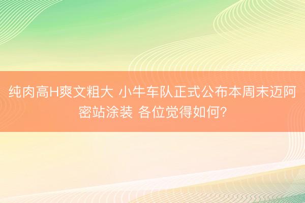 纯肉高H爽文粗大 小牛车队正式公布本周末迈阿密站涂装 各位觉得如何？