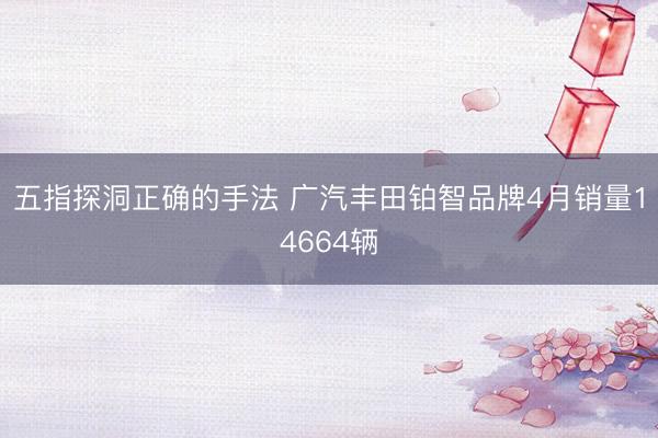 五指探洞正确的手法 广汽丰田铂智品牌4月销量14664辆