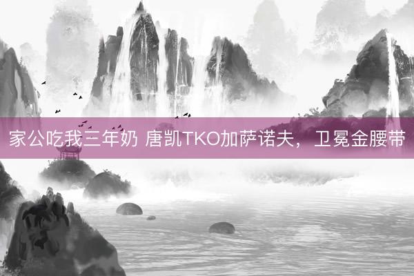 家公吃我三年奶 唐凯TKO加萨诺夫，卫冕金腰带