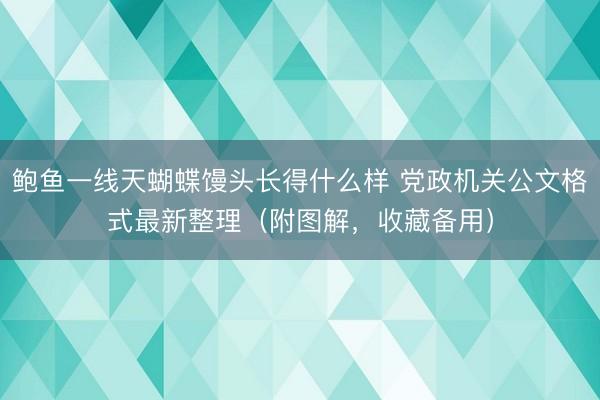 鲍鱼一线天蝴蝶馒头长得什么样 党政机关公文格式最新整理(附图解,收藏备用)