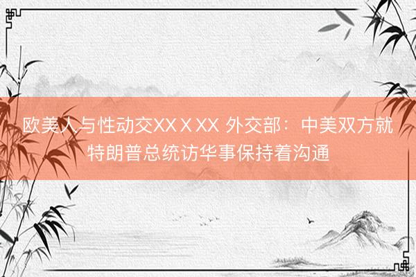 欧美人与性动交XXⅩXX 外交部：中美双方就特朗普总统访华事保持着沟通