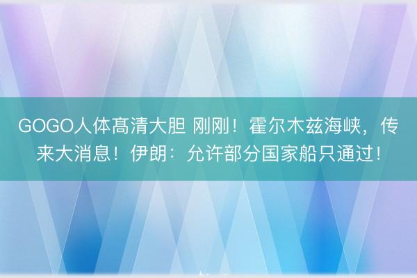 GOGO人体髙清大胆 刚刚！霍尔木兹海峡，传来大消息！伊朗：允许部分国家船只通过！