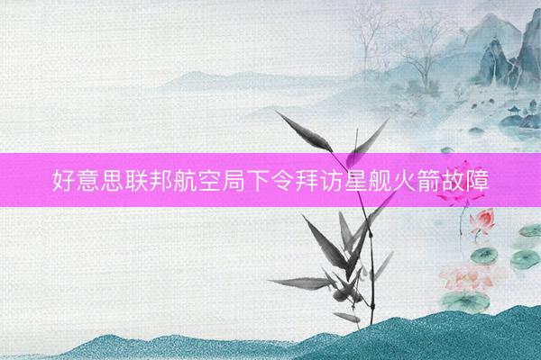 好意思联邦航空局下令拜访星舰火箭故障
