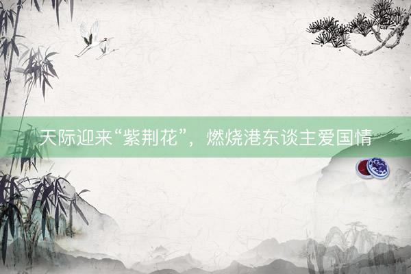 天际迎来“紫荆花”，燃烧港东谈主爱国情