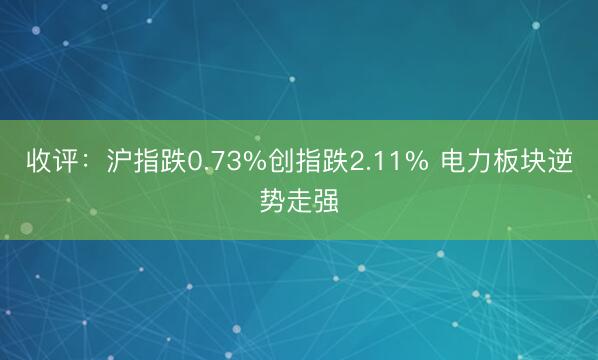 收评：沪指跌0.73%创指跌2.11% 电力板块逆势走强