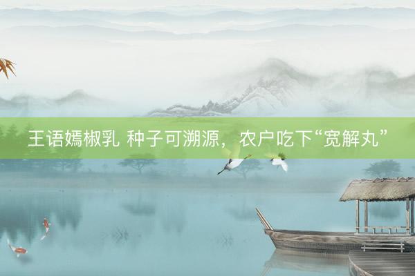 王语嫣椒乳 种子可溯源，农户吃下“宽解丸”