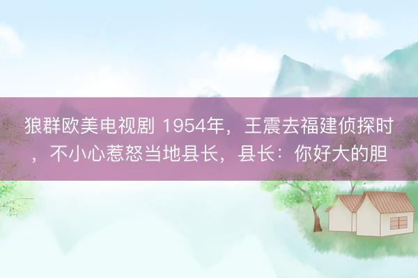 狼群欧美电视剧 1954年，王震去福建侦探时，不小心惹怒当地县长，县长：你好大的胆