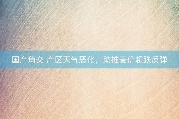 国产角交 产区天气恶化，助推麦价超跌反弹