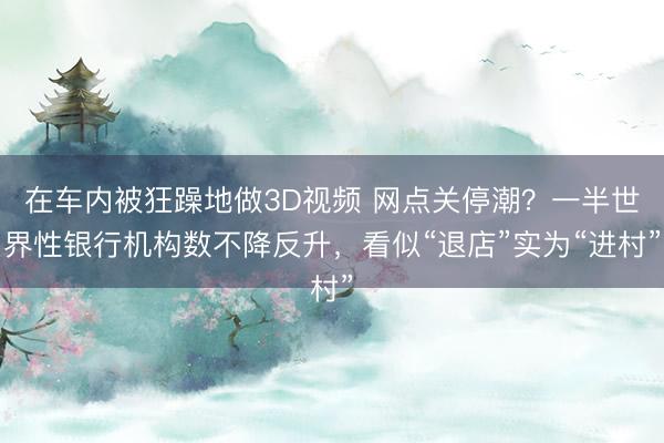 在车内被狂躁地做3D视频 网点关停潮？一半世界性银行机构数不降反升，看似“退店”实为“进村”