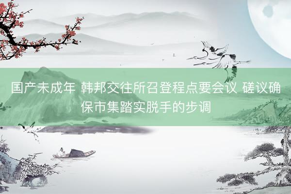 国产未成年 韩邦交往所召登程点要会议 磋议确保市集踏实脱手的步调