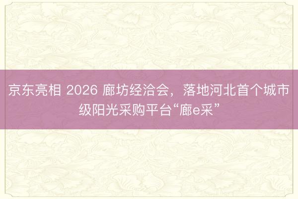 京东亮相 2026 廊坊经洽会，落地河北首个城市级阳光采购平台“廊e采”